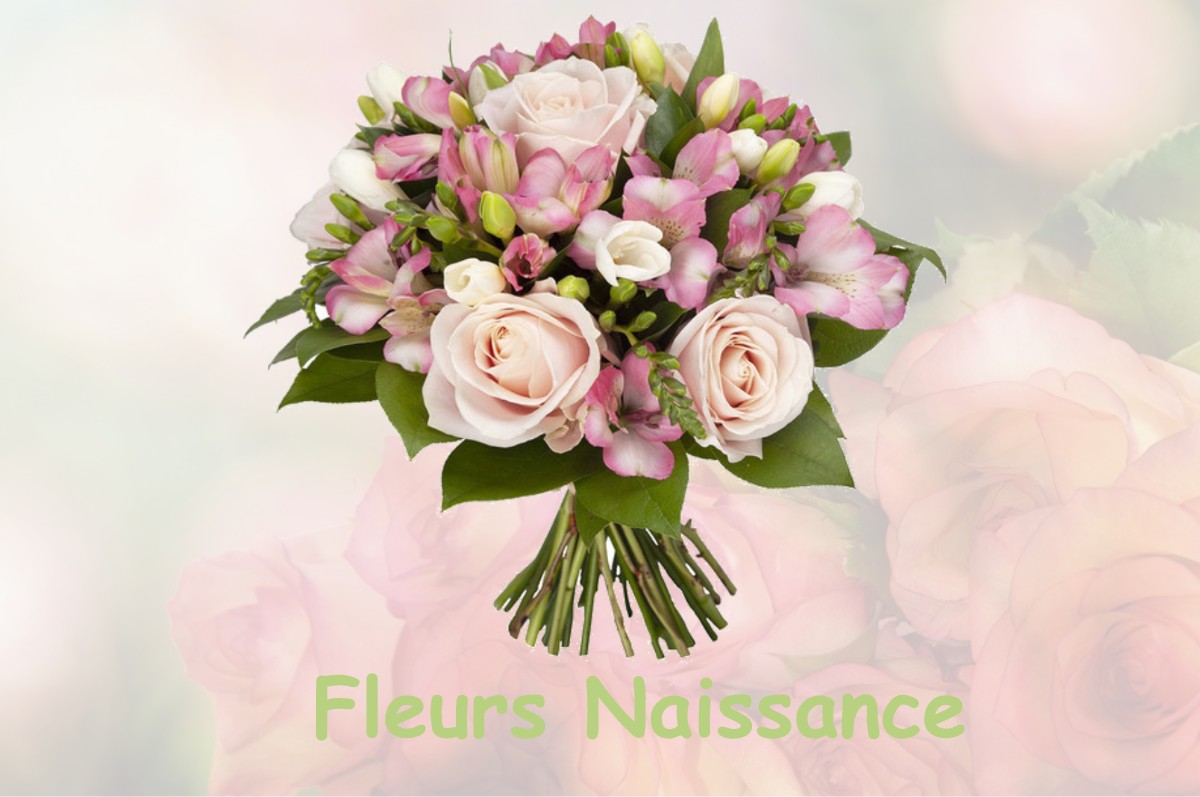 fleurs naissance LA-BOISSIERE-DU-DORE